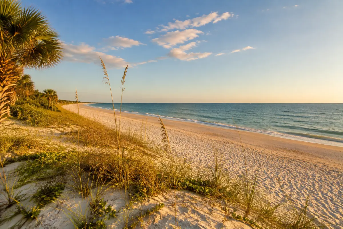 AI-generated placeholder of a quiet Gulf Coast beach